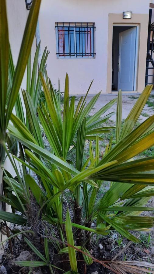 Depto. Cedelu Apartment Concepcion del Uruguay Ngoại thất bức ảnh